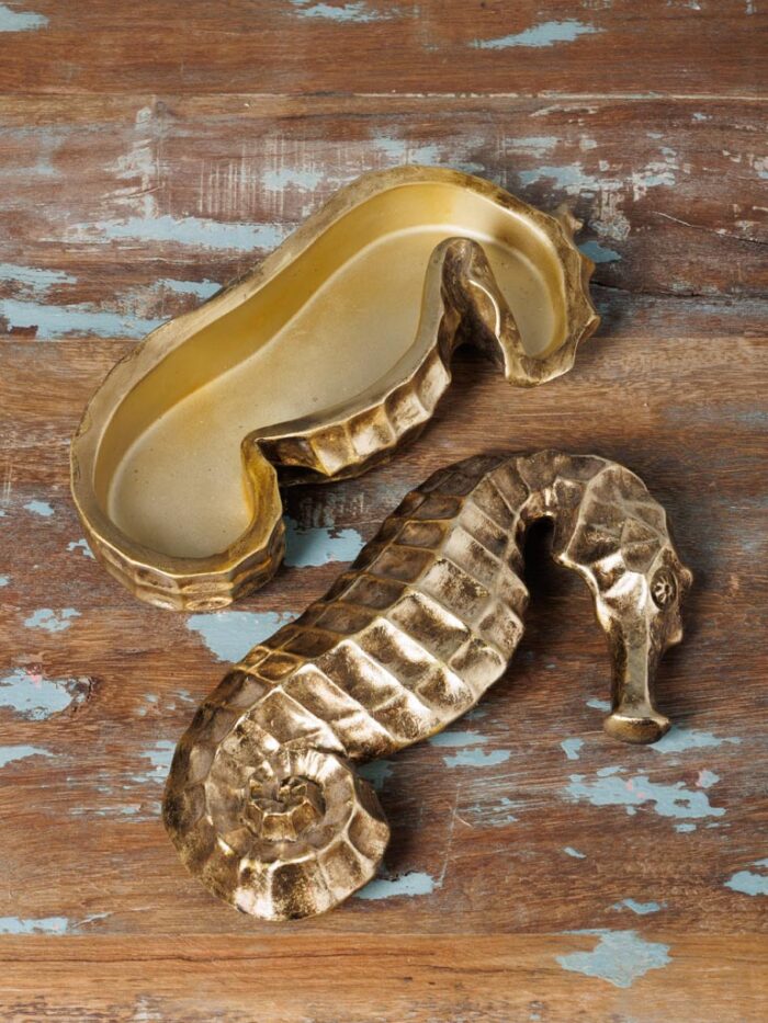 Boîte hippocampe doré – Image 3