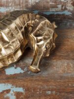 Boîte hippocampe doré – Image 4