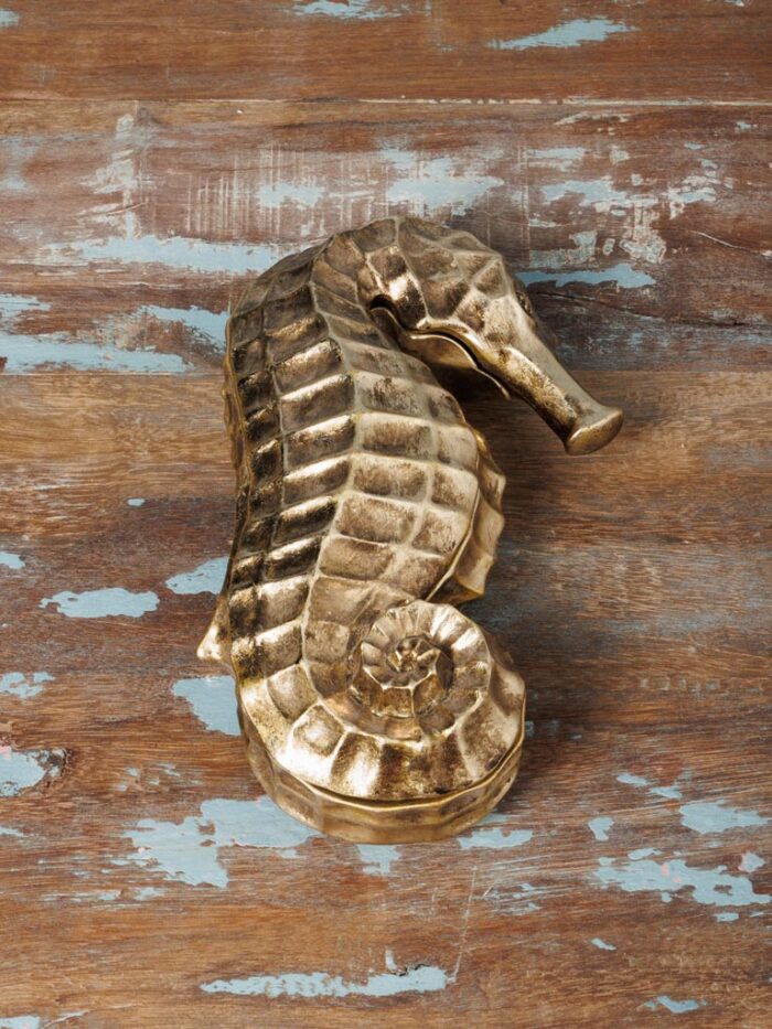 Boite hippocampe doré Chehoma