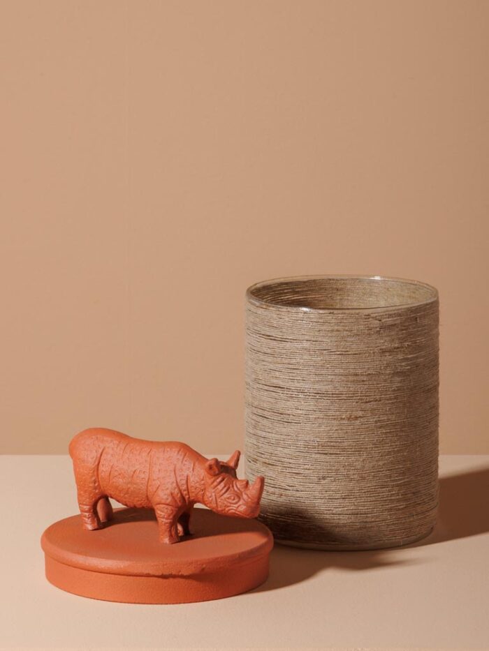 Boîte Rhinocéros – Image 2