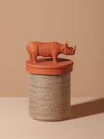 Boîte Rhinocéros Chehoma