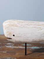 Cachalot patine blanche – Image 3