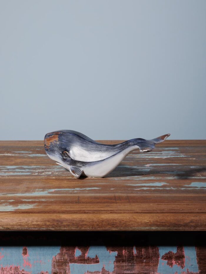 Cachalot patiné – Image 2