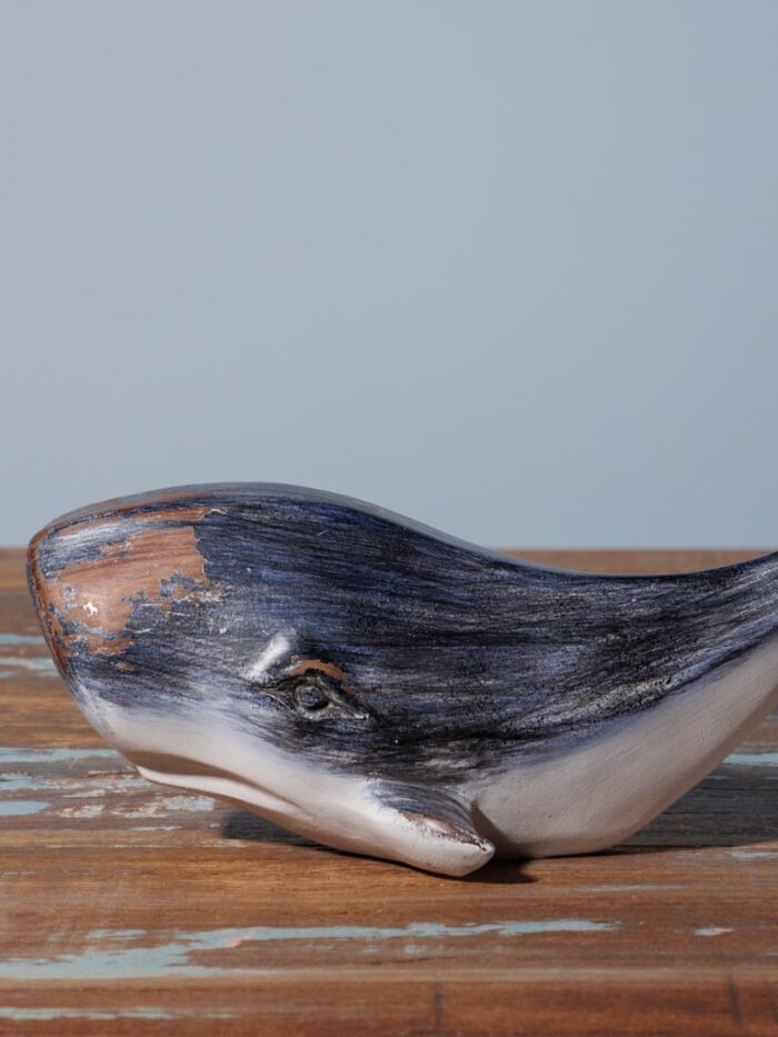 Cachalot patiné – Image 3