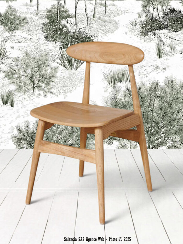 Chaise Pantaï Chehoma