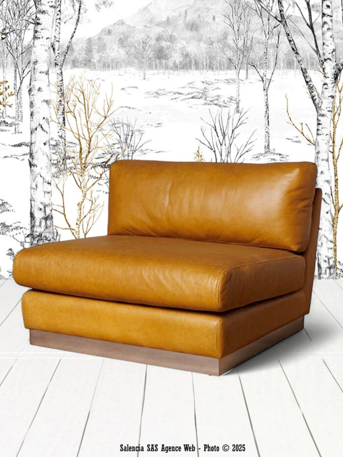 Fauteuil marron Minneapolis Chehoma