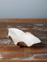 Grand vide-poche coquillage – Image 3