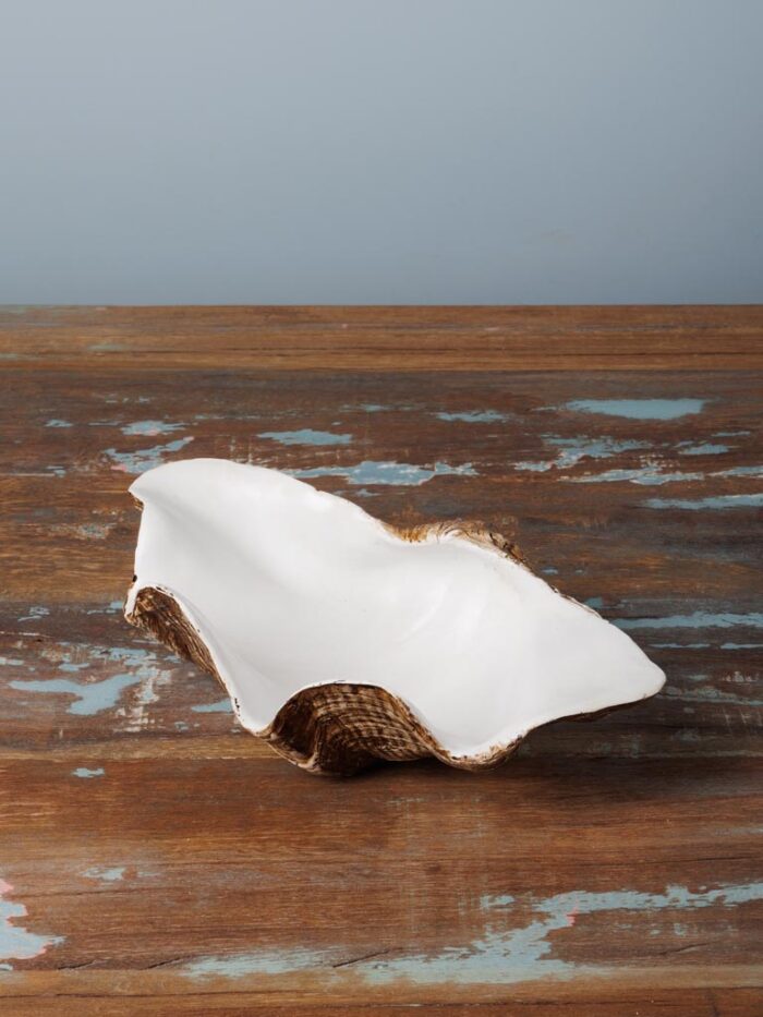 Grand vide-poche coquillage – Image 3