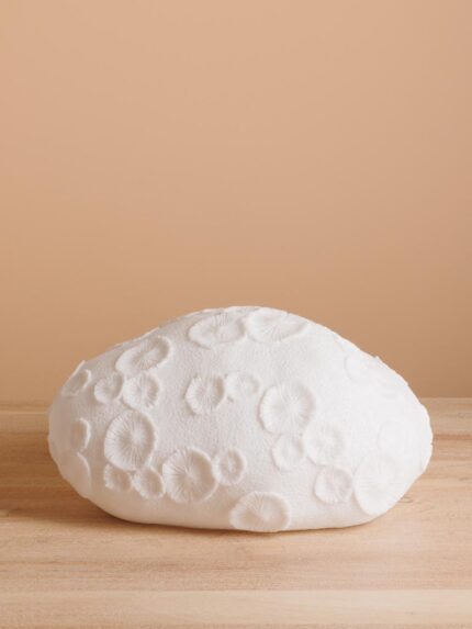 Lampe corail fossile Chehoma