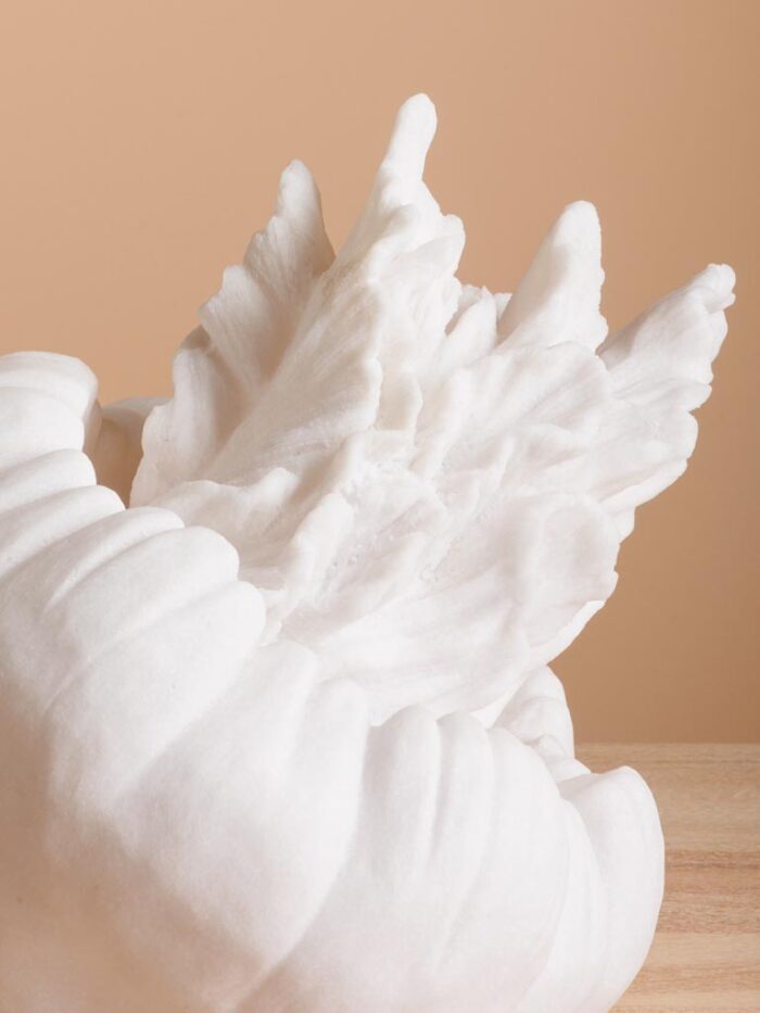 Lampe méduse – Image 3