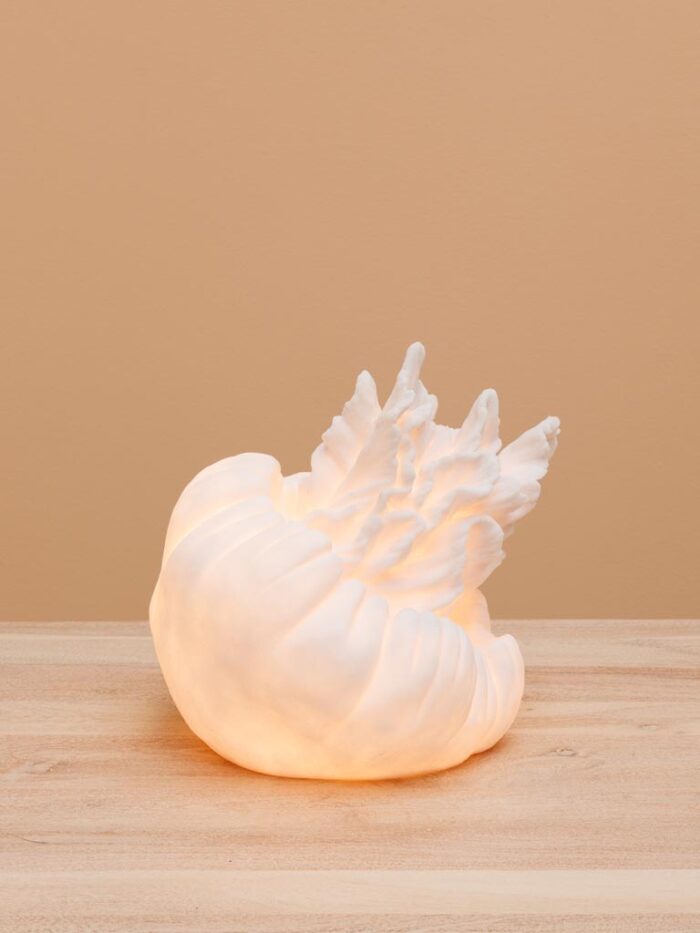 Lampe méduse Chehoma