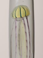 Sulfure haute méduse tigrée – Image 3
