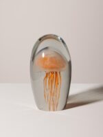 Sulfure méduse orange – Image 2