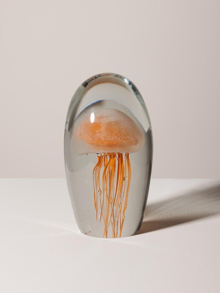 Sulfure méduse orange – Image 2