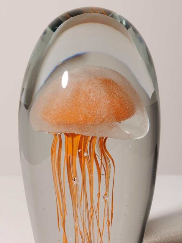 Sulfure méduse orange – Image 3