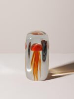 Sulfure méduse orangée aplatie – Image 2