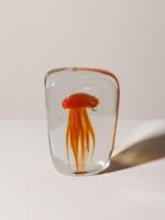 Sulfure méduse orangée aplatie Chehoma