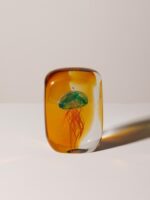 Sulfure tropicale applatie méduse