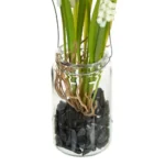 Bocal suspendu 2 fleurs Muscari blanc – Image 4