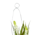 Bocal suspendu 2 fleurs Muscari blanc – Image 2