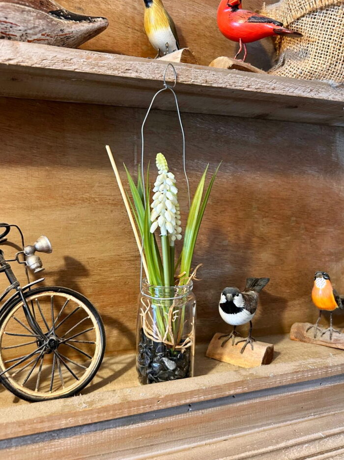 Bocal suspendu 2 fleurs Muscari blanc Ixia