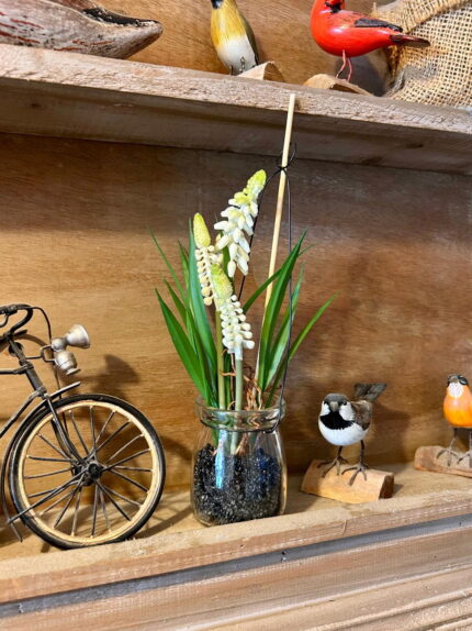 Bocal suspendu 3 fleurs Muscari blanc Ixia