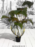 Plante artificielle Colocasia Grande Ixia