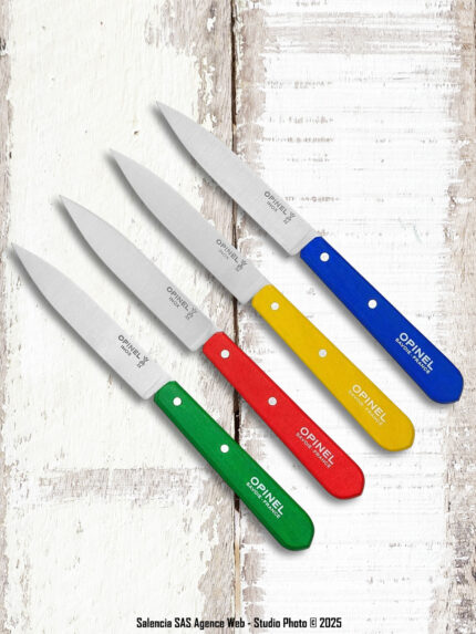 Coffret 4 couteaux d'office couleurs Opinel N°112