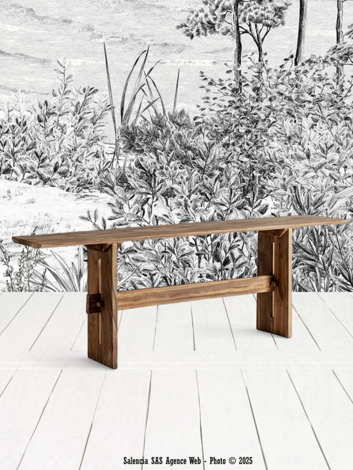 Console Cotard Vical
