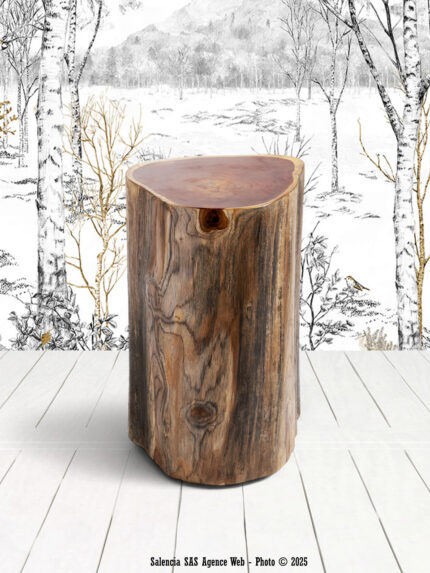 Table Basse Bitche Vical