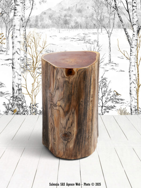 Table Basse Bitche Vical