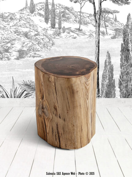 Table Basse Bouira Vical