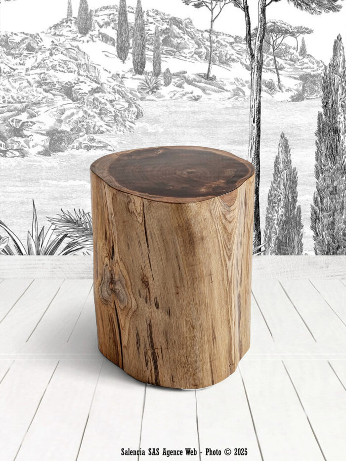 Table Basse Bouira Vical