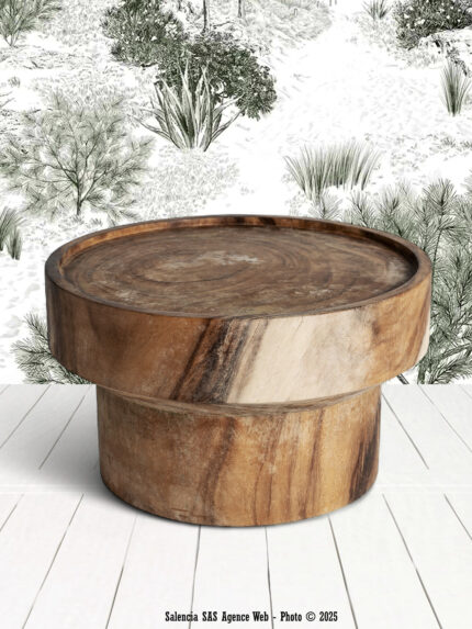 Table Basse Barika Vical
