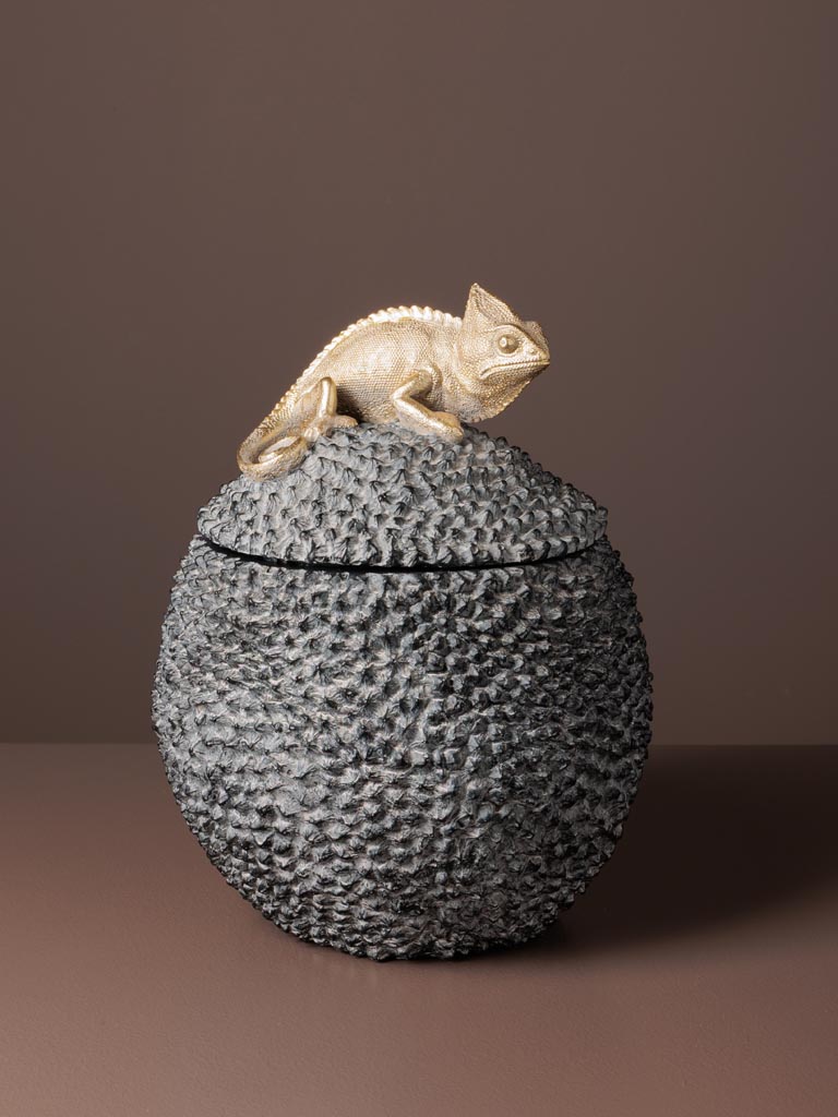 Boîte grise foncée caméléon Chehoma