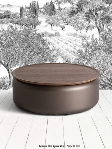 Grande table basse Bugdorf Vical