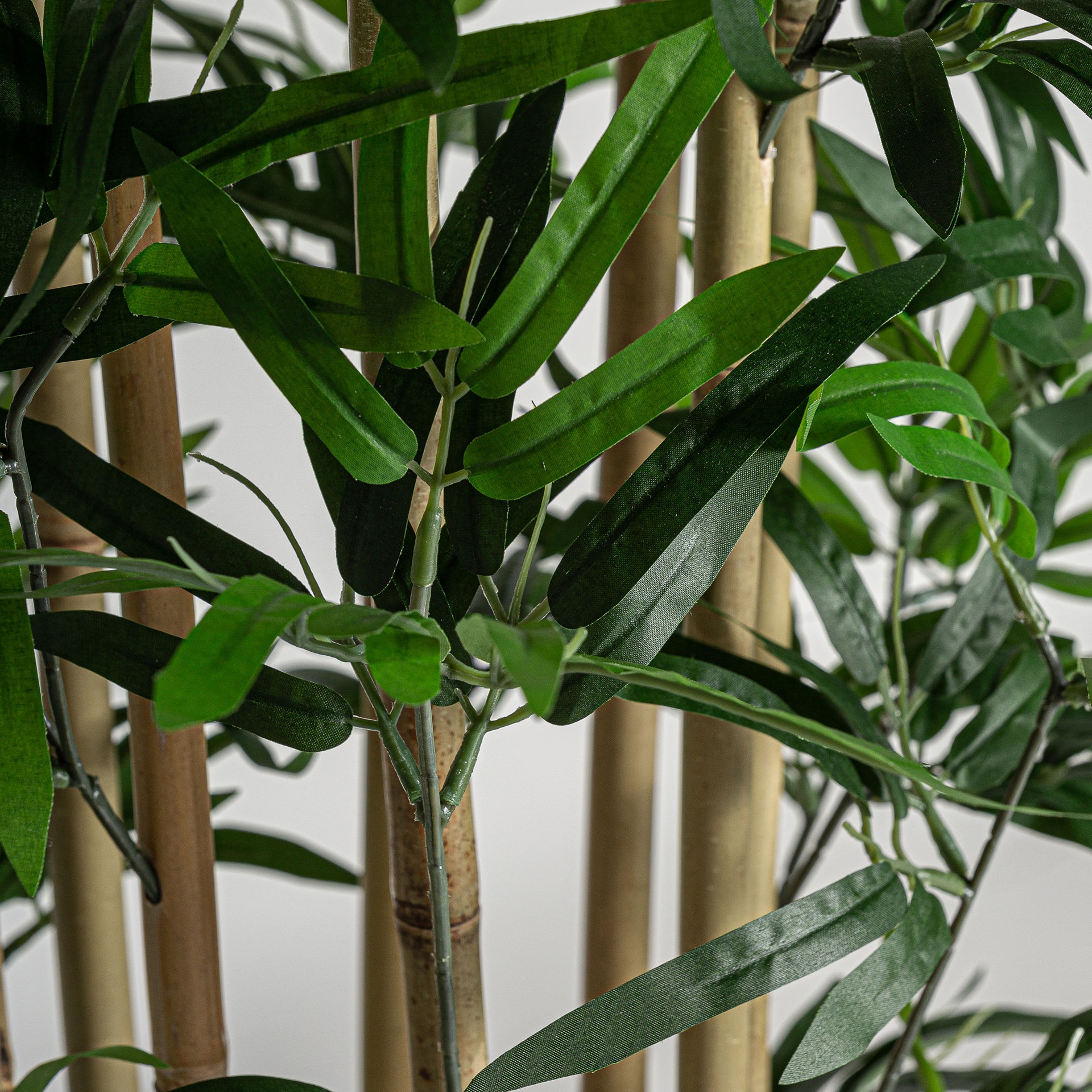 planta-bambu-vical-29108-42635467.jpg Plante artificielle Bambou – Image 4