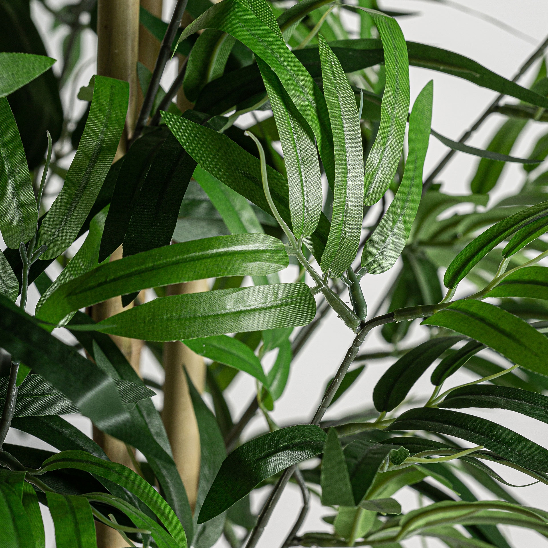 planta-bambu-vical-29108-42635468.jpg Plante artificielle Bambou – Image 5