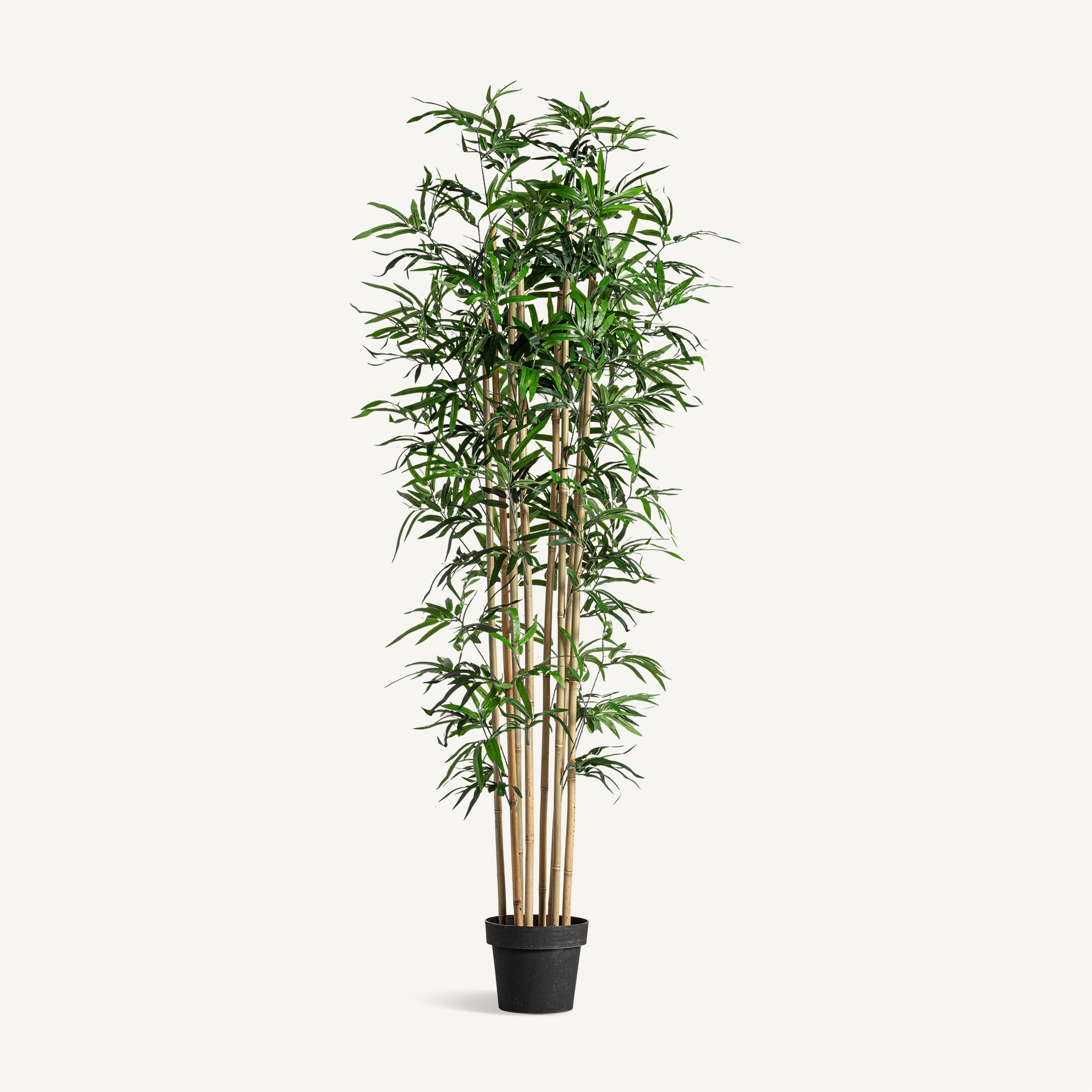 planta-bambu-vical-29108-42705868 Plante artificielle Bambou – Image 3