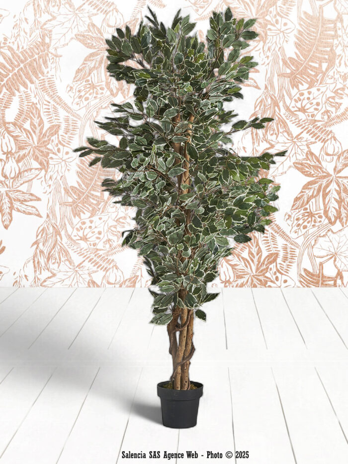Plante artificielle Ficus Vical