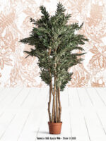 Plante artificielle Helecho