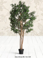 Plante artificielle Olivier Vical