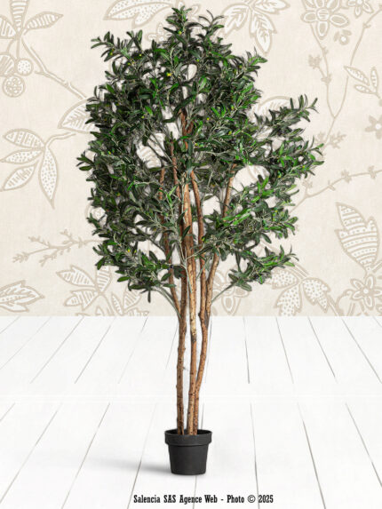 Plante artificielle Olivier Vical