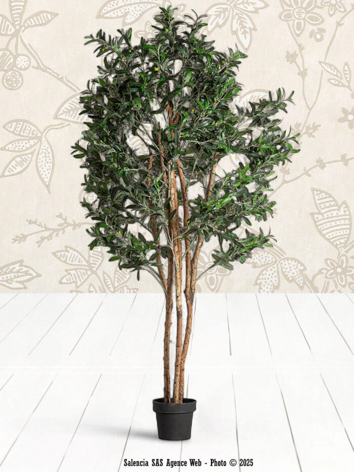 Plante artificielle Olivier Vical