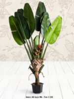 Plante artificielle Paradise