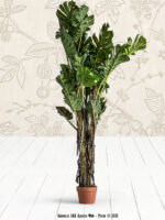 Plante artificielle Split Philo Vical