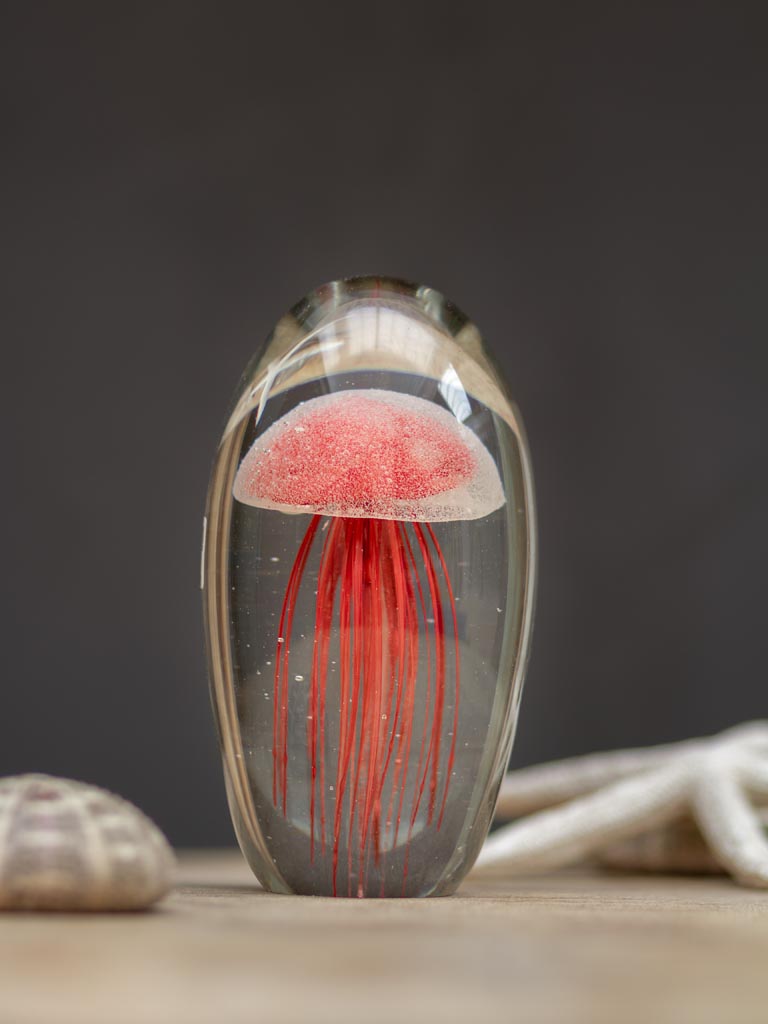 Sulfure méduse rouge Chehoma