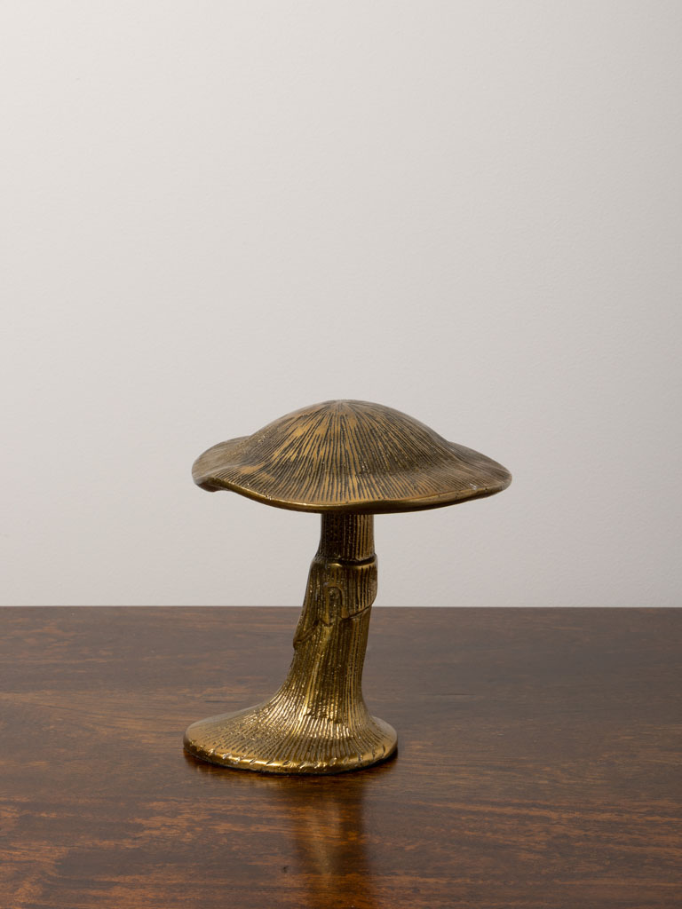 Petit champignon doré