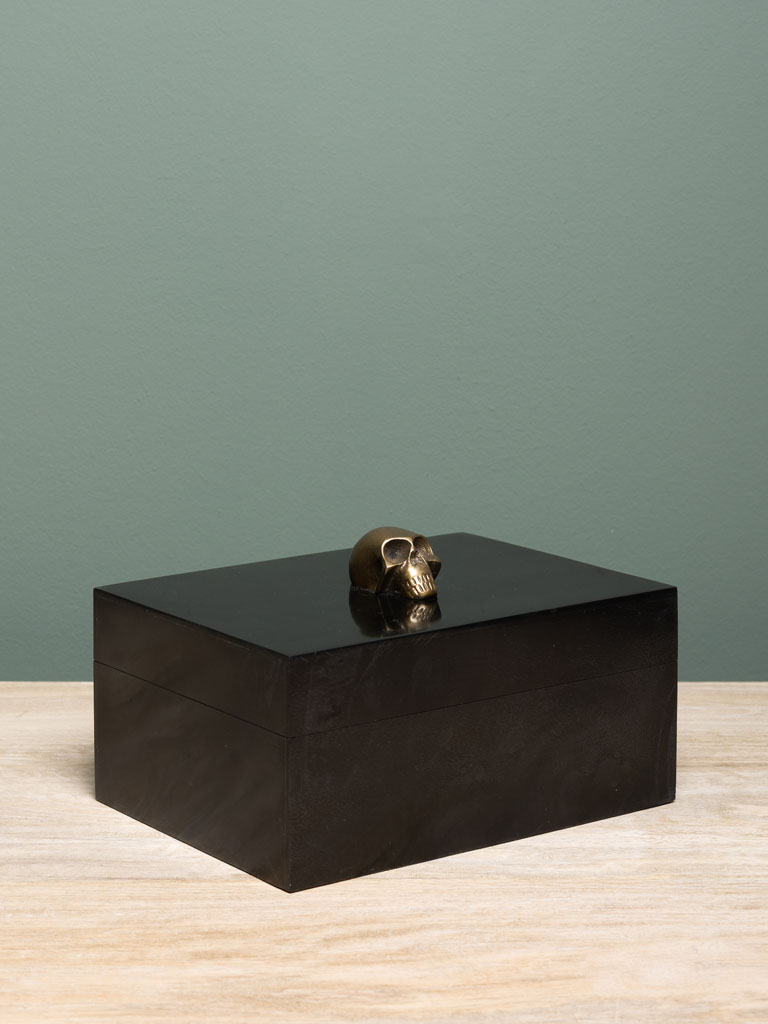 Boîte en résine et crâne aluminium Chehoma