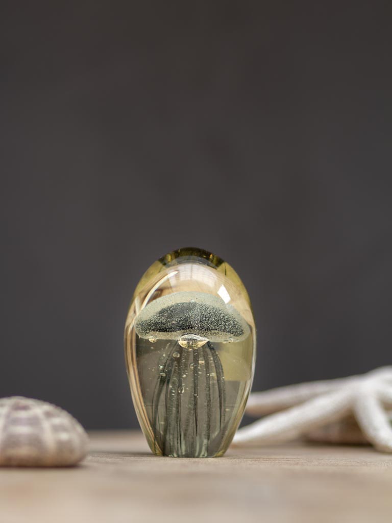 Sulfure Méduse noire Chehoma